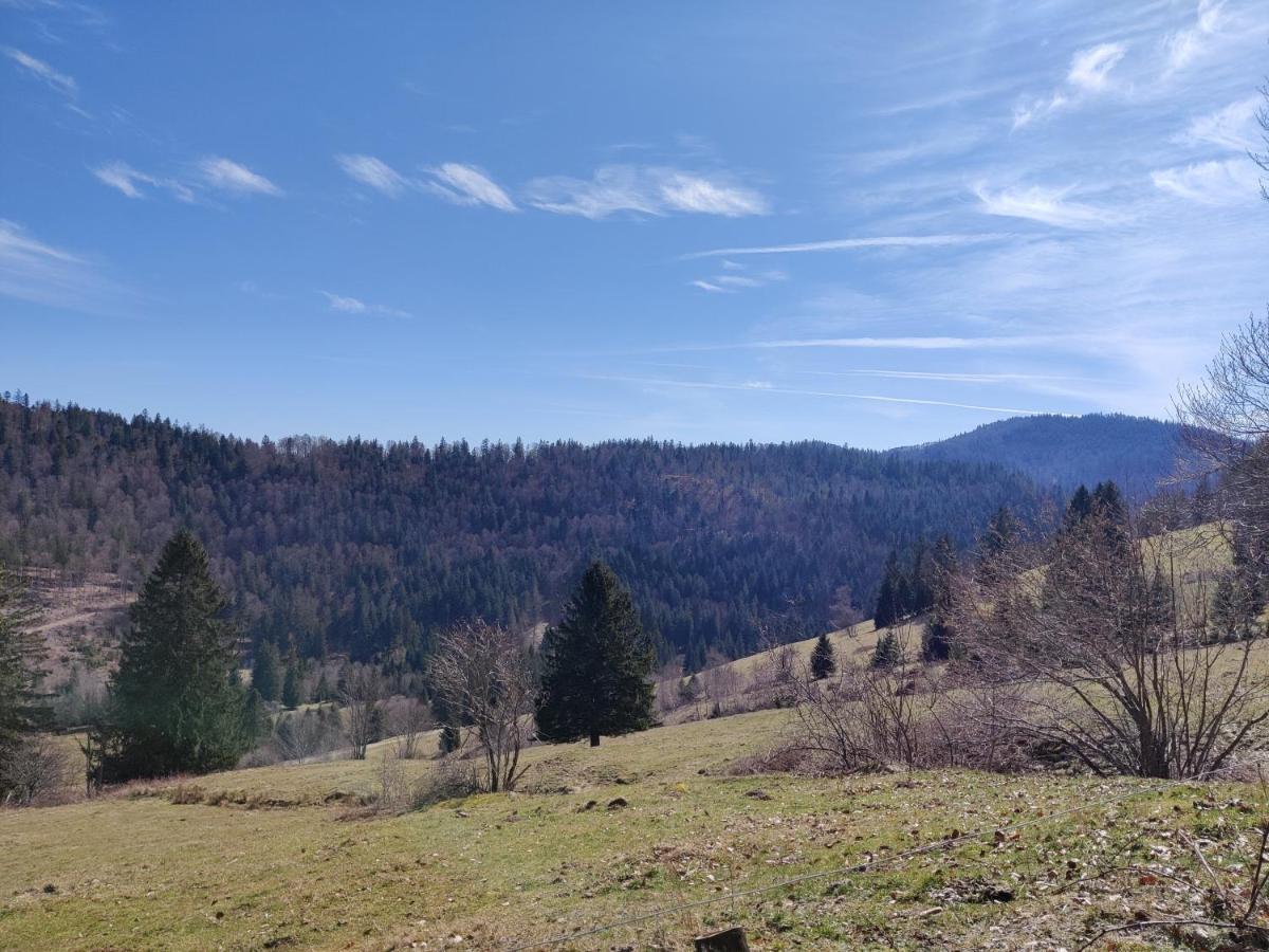 Berggasthaus Prager Boden Todtnau Exterior foto