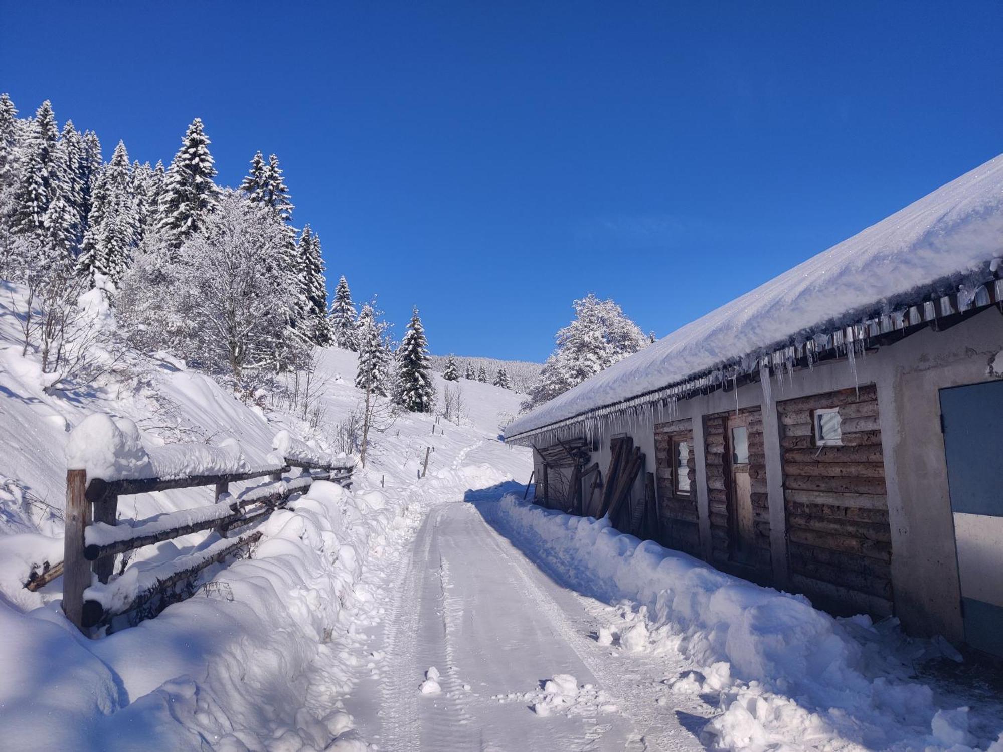 Berggasthaus Prager Boden Todtnau Exterior foto